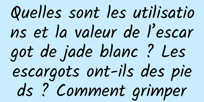 Quelles sont les utilisations et la valeur de l’escargot de jade blanc ? Les escargots ont-ils des pieds ? Comment grimper