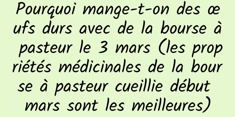 Pourquoi mange-t-on des œufs durs avec de la bourse à pasteur le 3 mars (les propriétés médicinales de la bourse à pasteur cueillie début mars sont les meilleures)