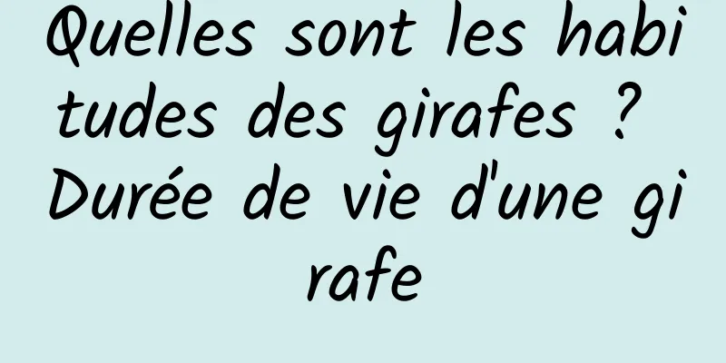 Quelles sont les habitudes des girafes ? Durée de vie d'une girafe
