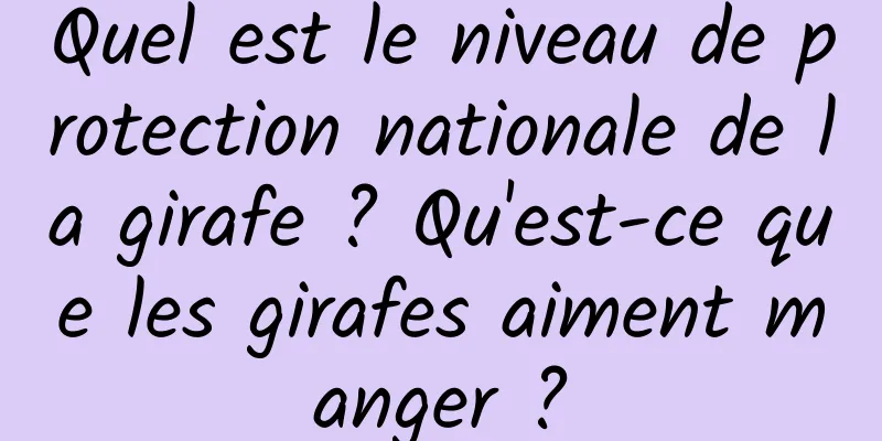 Quel est le niveau de protection nationale de la girafe ? Qu'est-ce que les girafes aiment manger ?