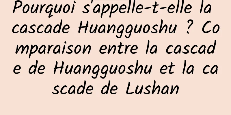 Pourquoi s'appelle-t-elle la cascade Huangguoshu ? Comparaison entre la cascade de Huangguoshu et la cascade de Lushan