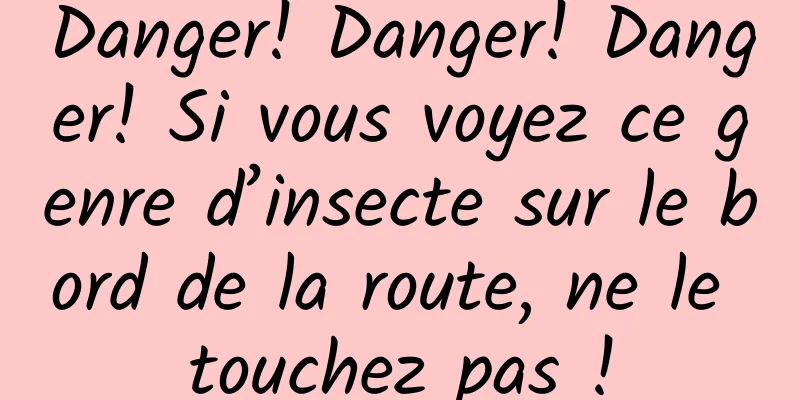 Danger! Danger! Danger! Si vous voyez ce genre d’insecte sur le bord de la route, ne le touchez pas !