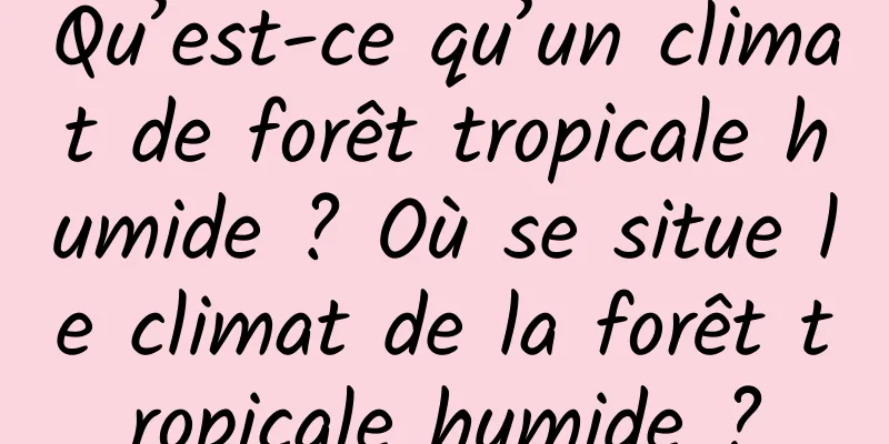 Qu’est-ce qu’un climat de forêt tropicale humide ? Où se situe le climat de la forêt tropicale humide ?