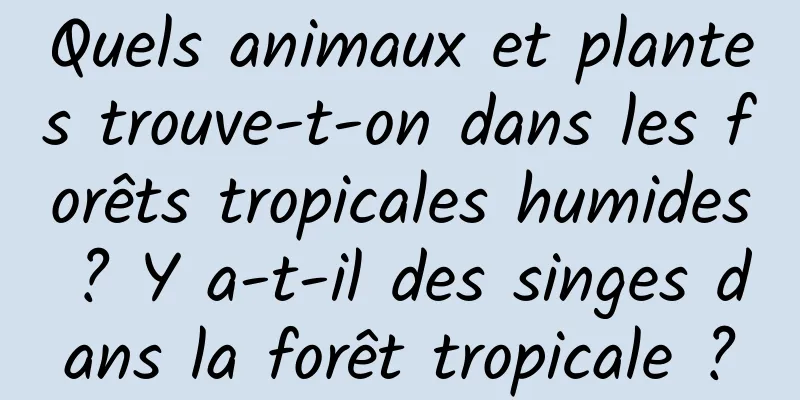 Quels animaux et plantes trouve-t-on dans les forêts tropicales humides ? Y a-t-il des singes dans la forêt tropicale ?