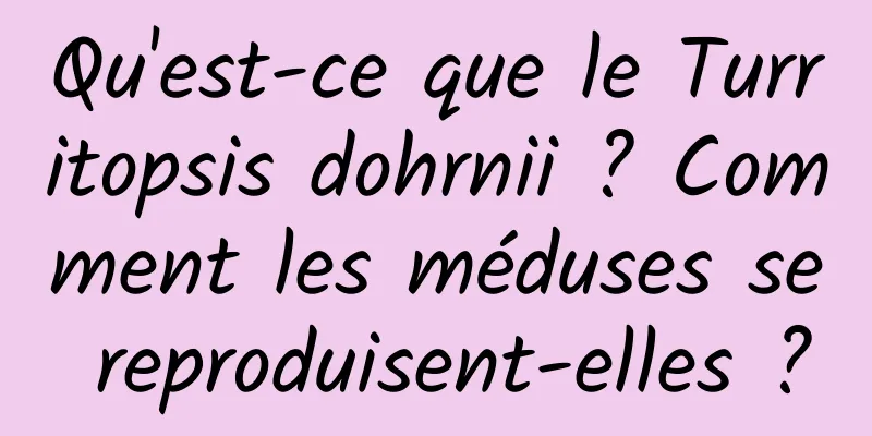 Qu'est-ce que le Turritopsis dohrnii ? Comment les méduses se reproduisent-elles ?