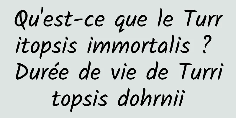 Qu'est-ce que le Turritopsis immortalis ? Durée de vie de Turritopsis dohrnii