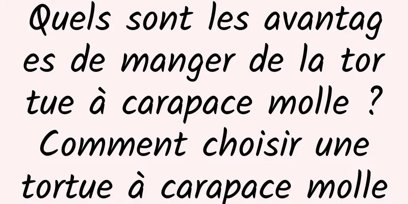 Quels sont les avantages de manger de la tortue à carapace molle ? Comment choisir une tortue à carapace molle