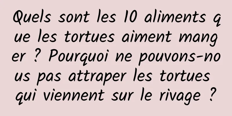 Quels sont les 10 aliments que les tortues aiment manger ? Pourquoi ne pouvons-nous pas attraper les tortues qui viennent sur le rivage ?