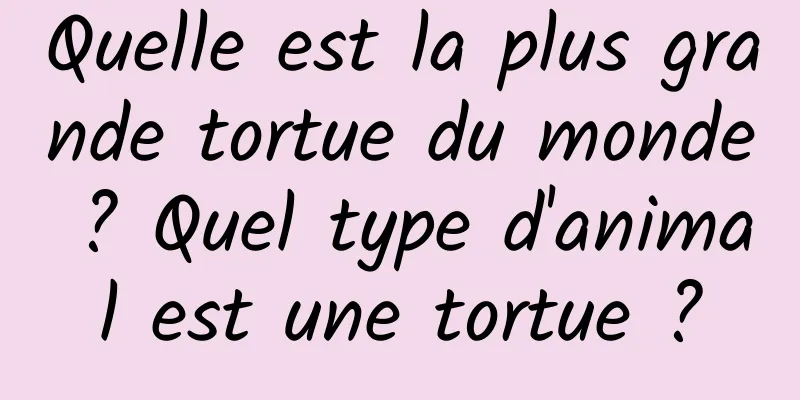 Quelle est la plus grande tortue du monde ? Quel type d'animal est une tortue ?