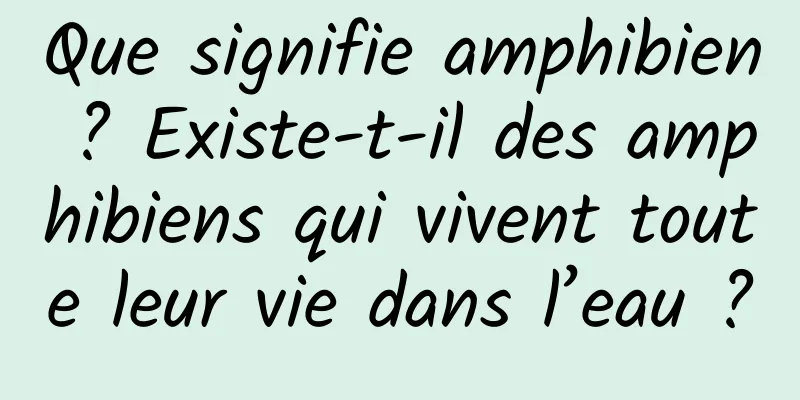 Que signifie amphibien ? Existe-t-il des amphibiens qui vivent toute leur vie dans l’eau ?