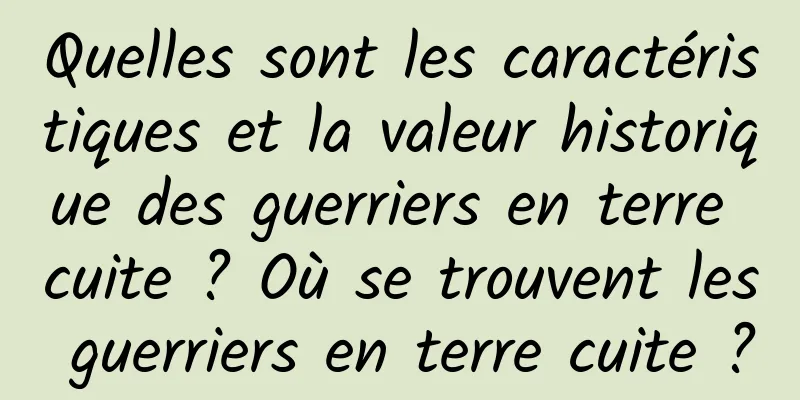 Quelles sont les caractéristiques et la valeur historique des guerriers en terre cuite ? Où se trouvent les guerriers en terre cuite ?