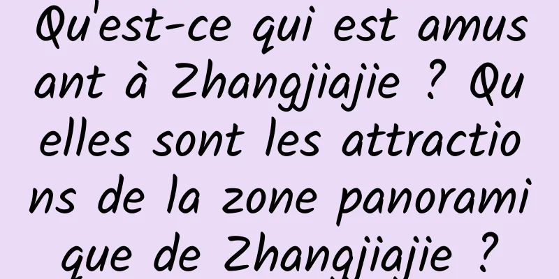 Qu'est-ce qui est amusant à Zhangjiajie ? Quelles sont les attractions de la zone panoramique de Zhangjiajie ?
