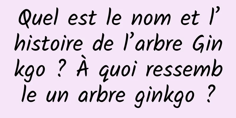 Quel est le nom et l’histoire de l’arbre Ginkgo ? À quoi ressemble un arbre ginkgo ?