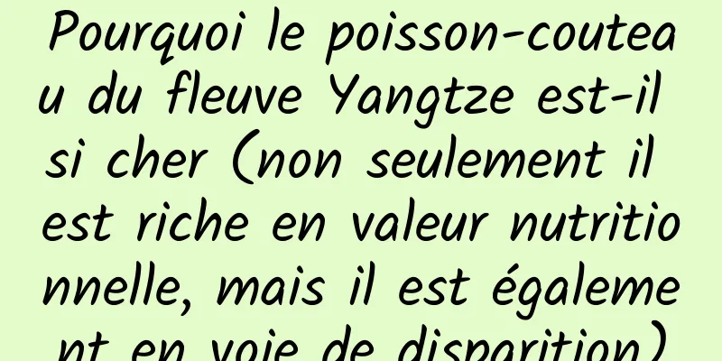 Pourquoi le poisson-couteau du fleuve Yangtze est-il si cher (non seulement il est riche en valeur nutritionnelle, mais il est également en voie de disparition)