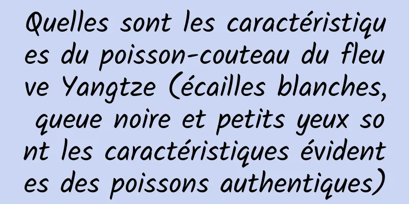 Quelles sont les caractéristiques du poisson-couteau du fleuve Yangtze (écailles blanches, queue noire et petits yeux sont les caractéristiques évidentes des poissons authentiques)