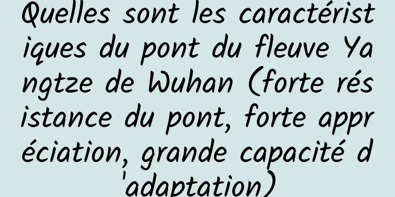 Quelles sont les caractéristiques du pont du fleuve Yangtze de Wuhan (forte résistance du pont, forte appréciation, grande capacité d'adaptation)
