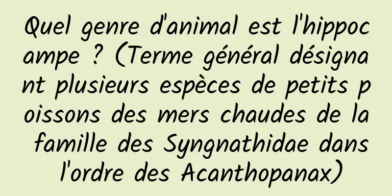 Quel genre d'animal est l'hippocampe ? (Terme général désignant plusieurs espèces de petits poissons des mers chaudes de la famille des Syngnathidae dans l'ordre des Acanthopanax)