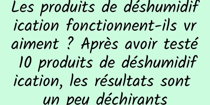 Les produits de déshumidification fonctionnent-ils vraiment ? Après avoir testé 10 produits de déshumidification, les résultats sont un peu déchirants
