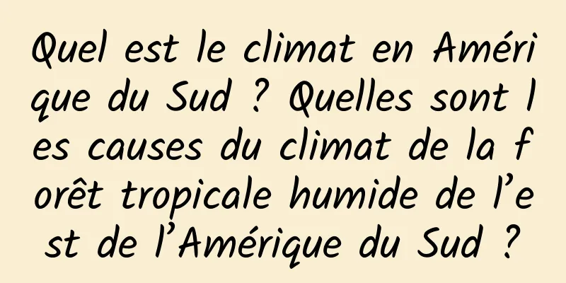 Quel est le climat en Amérique du Sud ? Quelles sont les causes du climat de la forêt tropicale humide de l’est de l’Amérique du Sud ?