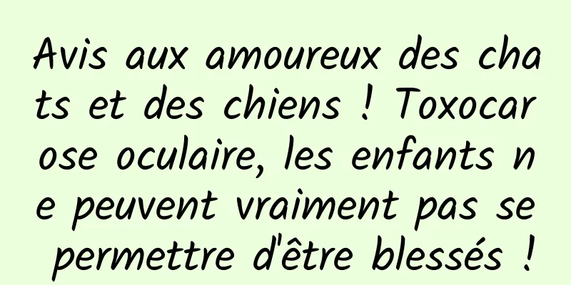 Avis aux amoureux des chats et des chiens ! Toxocarose oculaire, les enfants ne peuvent vraiment pas se permettre d'être blessés !