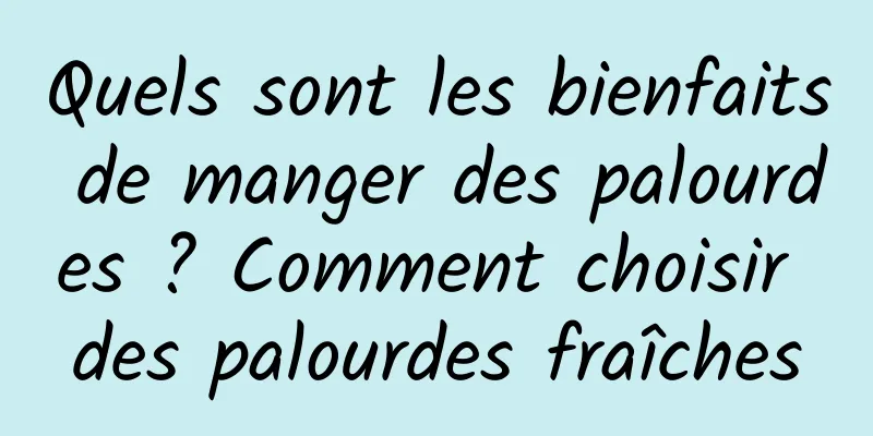 Quels sont les bienfaits de manger des palourdes ? Comment choisir des palourdes fraîches
