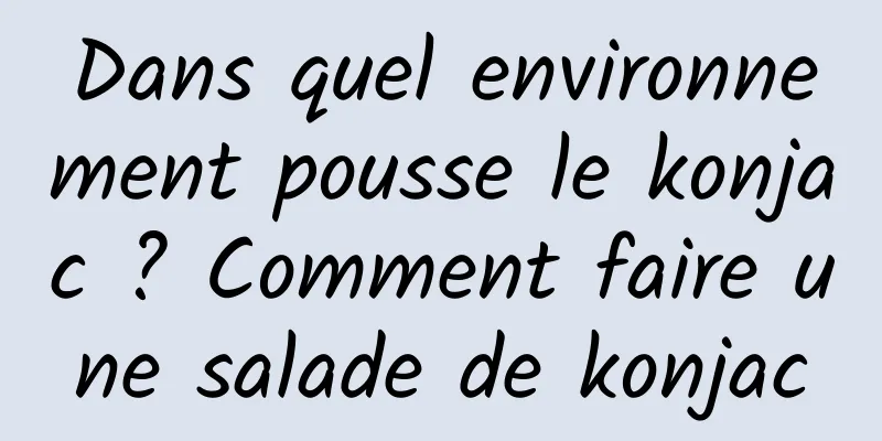 Dans quel environnement pousse le konjac ? Comment faire une salade de konjac