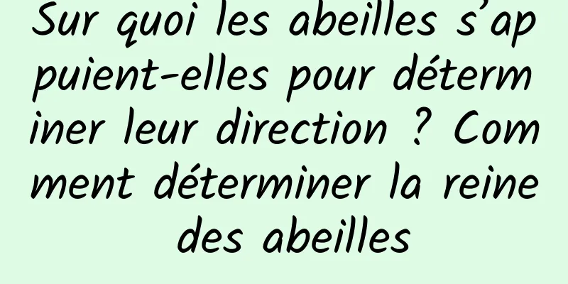 Sur quoi les abeilles s’appuient-elles pour déterminer leur direction ? Comment déterminer la reine des abeilles