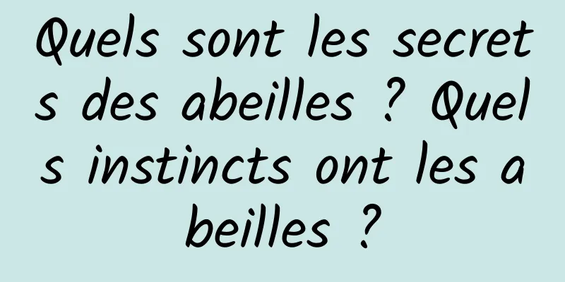 Quels sont les secrets des abeilles ? Quels instincts ont les abeilles ?