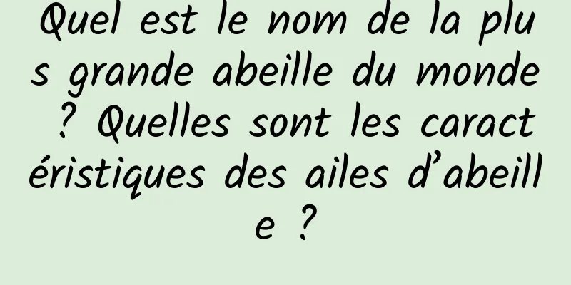 Quel est le nom de la plus grande abeille du monde ? Quelles sont les caractéristiques des ailes d’abeille ?