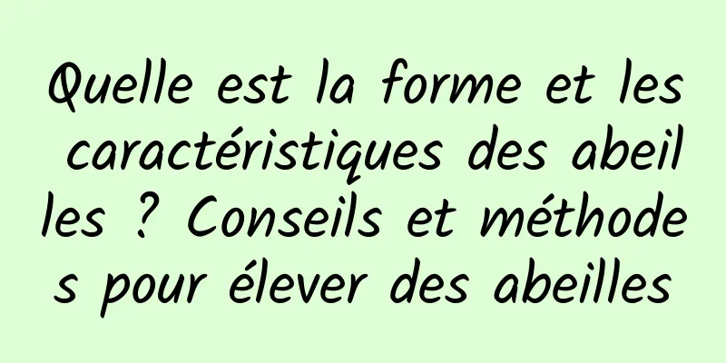Quelle est la forme et les caractéristiques des abeilles ? Conseils et méthodes pour élever des abeilles