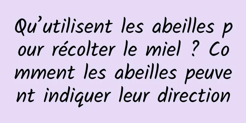 Qu’utilisent les abeilles pour récolter le miel ? Comment les abeilles peuvent indiquer leur direction
