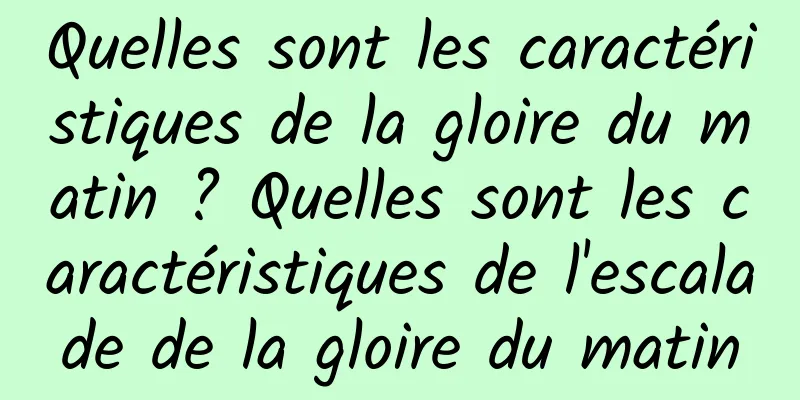 Quelles sont les caractéristiques de la gloire du matin ? Quelles sont les caractéristiques de l'escalade de la gloire du matin