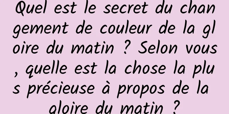 Quel est le secret du changement de couleur de la gloire du matin ? Selon vous, quelle est la chose la plus précieuse à propos de la gloire du matin ?