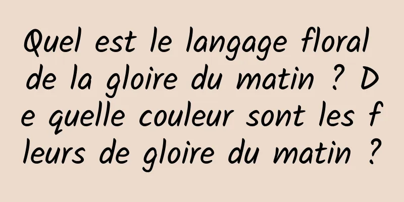 Quel est le langage floral de la gloire du matin ? De quelle couleur sont les fleurs de gloire du matin ?