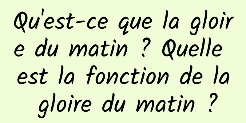 Qu'est-ce que la gloire du matin ? Quelle est la fonction de la gloire du matin ?