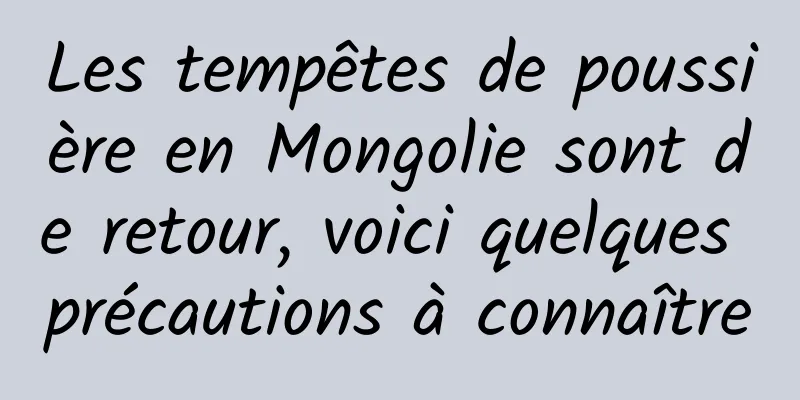 Les tempêtes de poussière en Mongolie sont de retour, voici quelques précautions à connaître