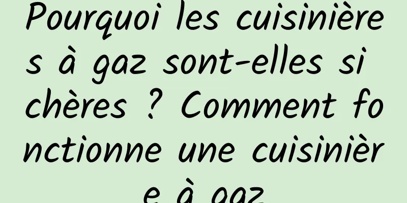 Pourquoi les cuisinières à gaz sont-elles si chères ? Comment fonctionne une cuisinière à gaz