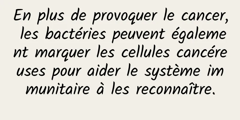 En plus de provoquer le cancer, les bactéries peuvent également marquer les cellules cancéreuses pour aider le système immunitaire à les reconnaître.
