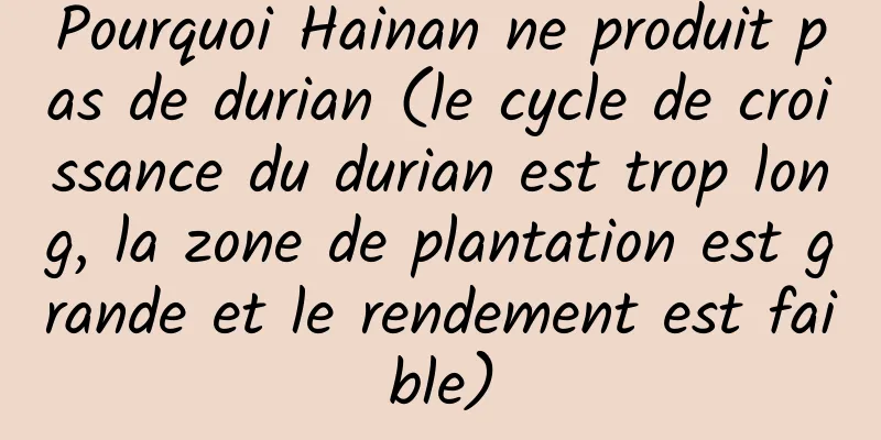 Pourquoi Hainan ne produit pas de durian (le cycle de croissance du durian est trop long, la zone de plantation est grande et le rendement est faible)
