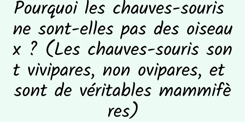 Pourquoi les chauves-souris ne sont-elles pas des oiseaux ? (Les chauves-souris sont vivipares, non ovipares, et sont de véritables mammifères)