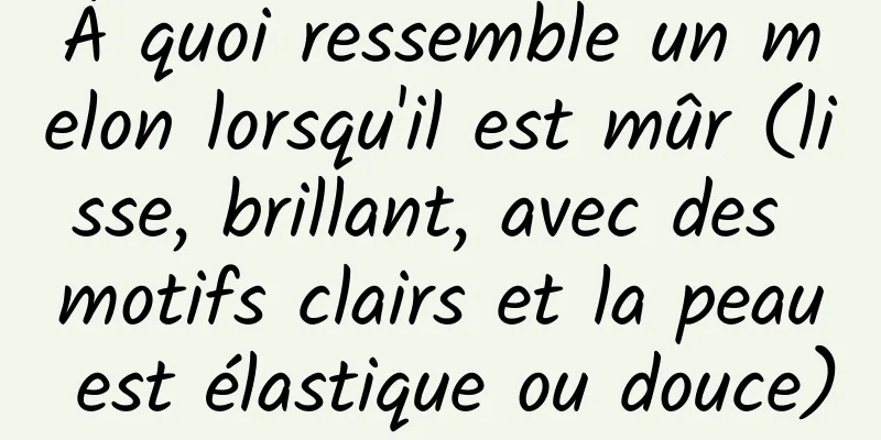 À quoi ressemble un melon lorsqu'il est mûr (lisse, brillant, avec des motifs clairs et la peau est élastique ou douce)