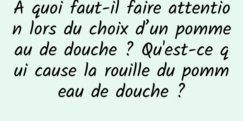 À quoi faut-il faire attention lors du choix d’un pommeau de douche ? Qu'est-ce qui cause la rouille du pommeau de douche ?