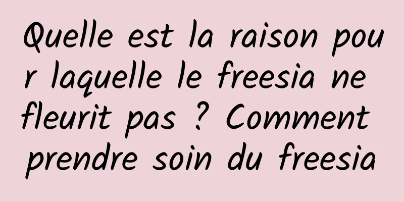 Quelle est la raison pour laquelle le freesia ne fleurit pas ? Comment prendre soin du freesia