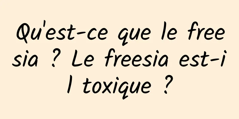 Qu'est-ce que le freesia ? Le freesia est-il toxique ?