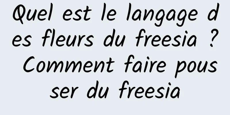 Quel est le langage des fleurs du freesia ? Comment faire pousser du freesia