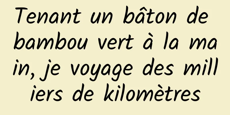 Tenant un bâton de bambou vert à la main, je voyage des milliers de kilomètres
