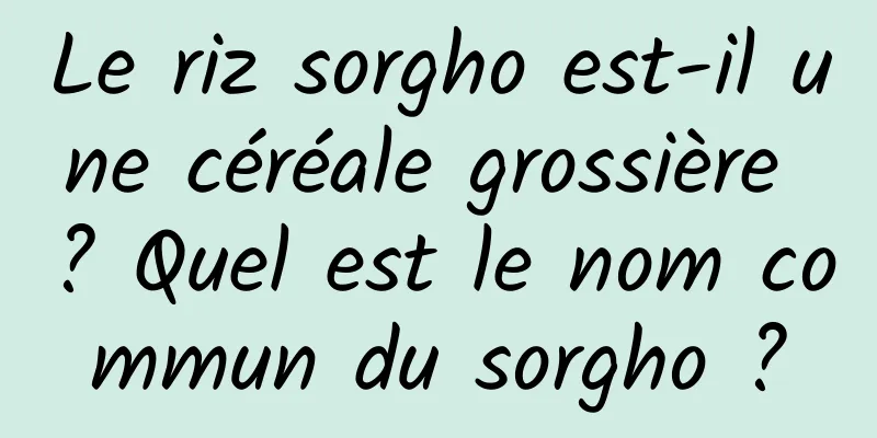 Le riz sorgho est-il une céréale grossière ? Quel est le nom commun du sorgho ?