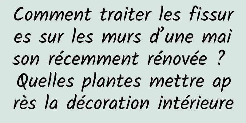 Comment traiter les fissures sur les murs d’une maison récemment rénovée ? Quelles plantes mettre après la décoration intérieure