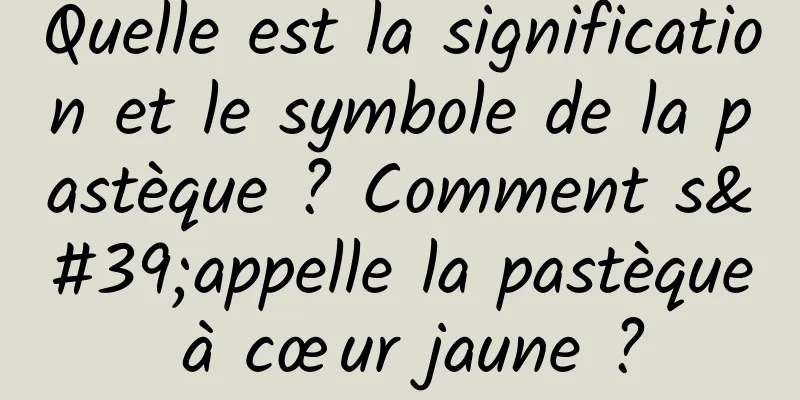 Quelle est la signification et le symbole de la pastèque ? Comment s'appelle la pastèque à cœur jaune ?