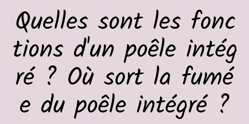 Quelles sont les fonctions d'un poêle intégré ? Où sort la fumée du poêle intégré ?